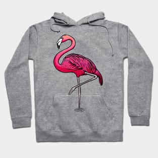 Pink Flamingo Hoodie